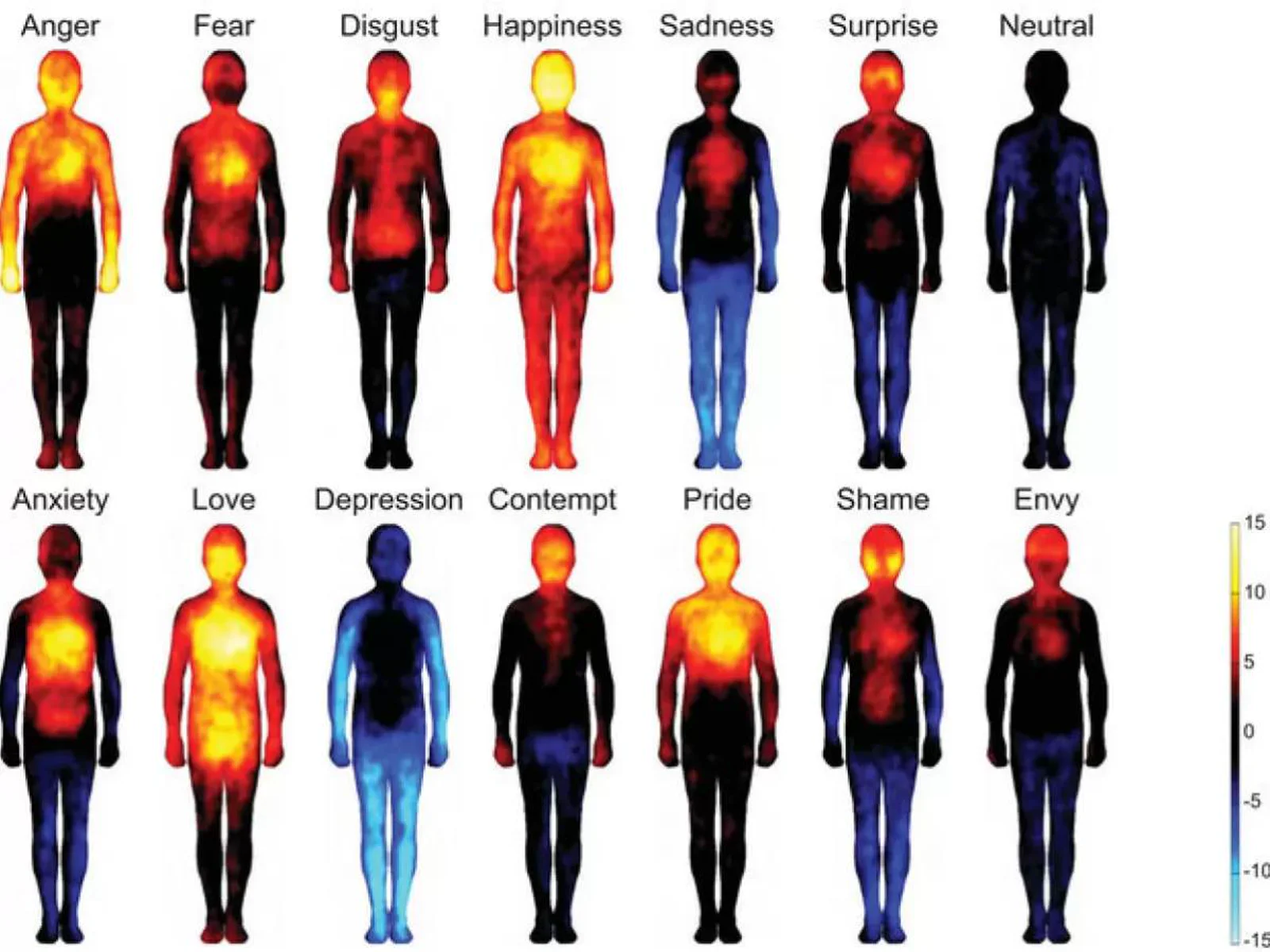 Emocje zapisane w ciele — psychosomatyka i osteopatia